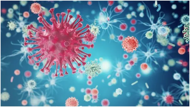 HIV: The Immune System Conqueror