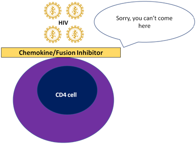 Fusion and chemokine receptor inhibitors blocking HIV entry into CD4 cells