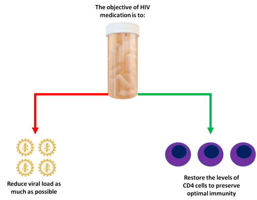 Goal of HIV therapy: lower viral load and raise CD4 cell counts