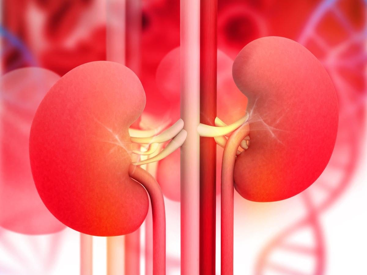 Vitamin D and kidney health in end-stage renal disease